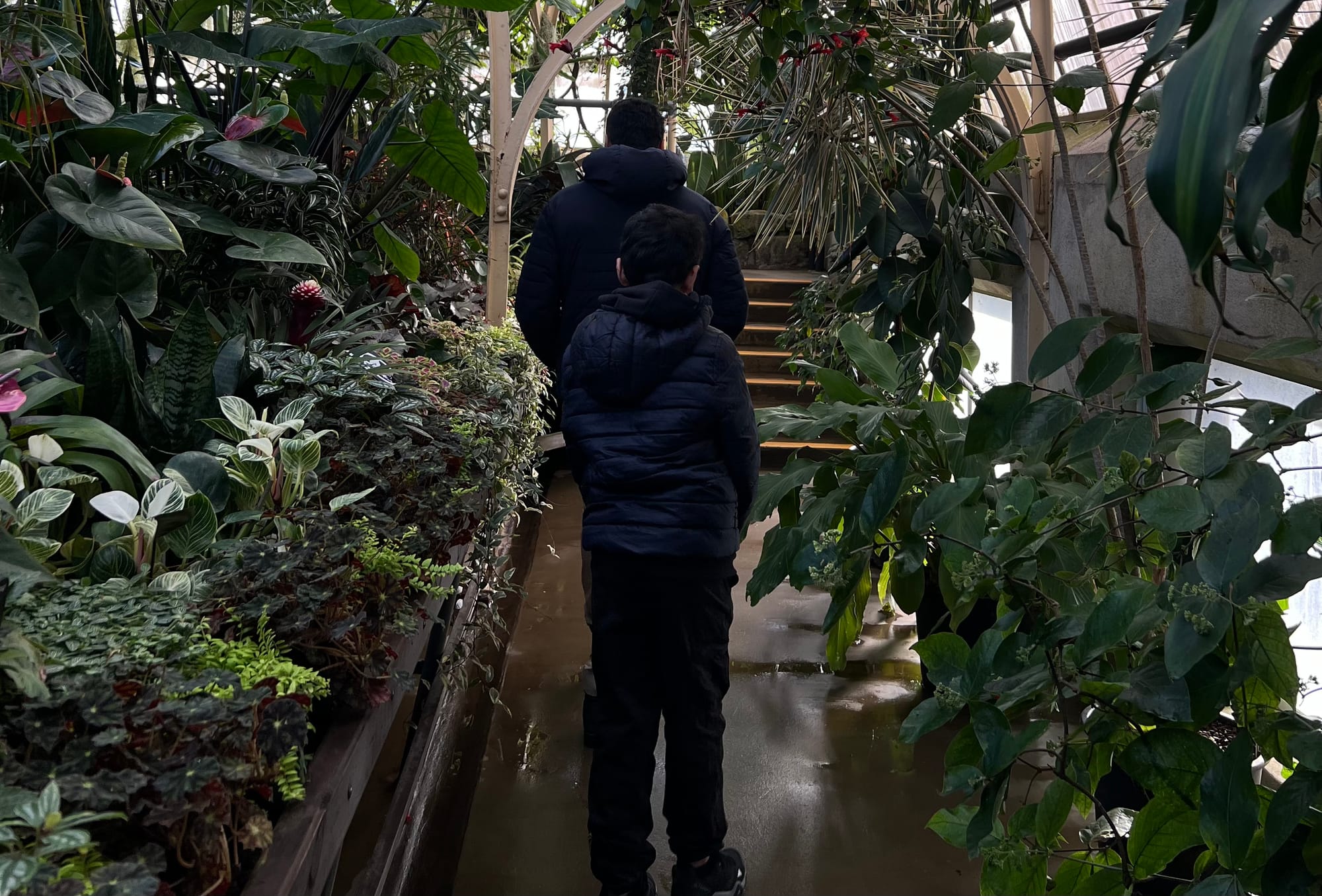 رحلة نيوزلندا (9) - يونيو 2024