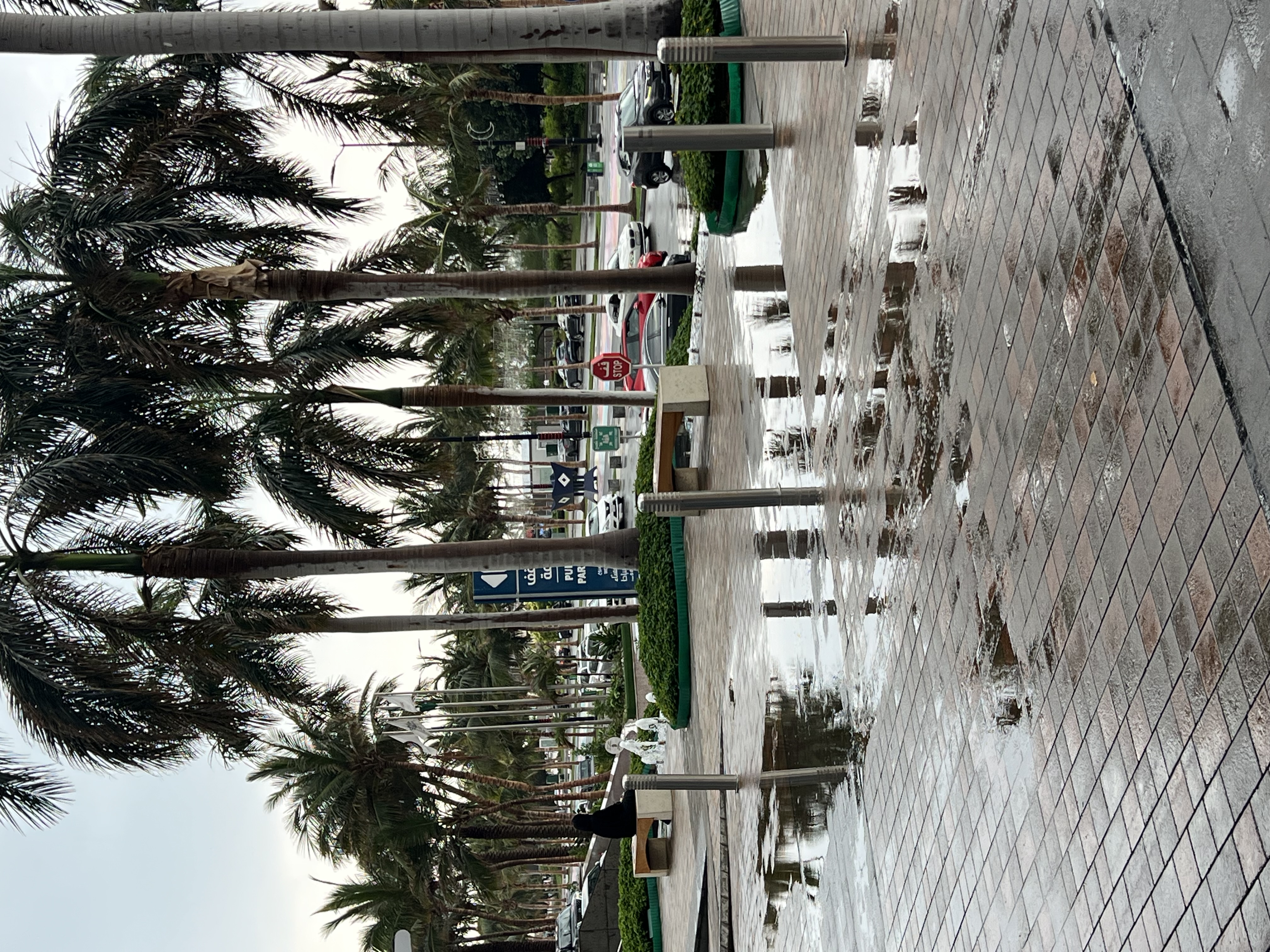 Pasted image 20250320144229.jpg