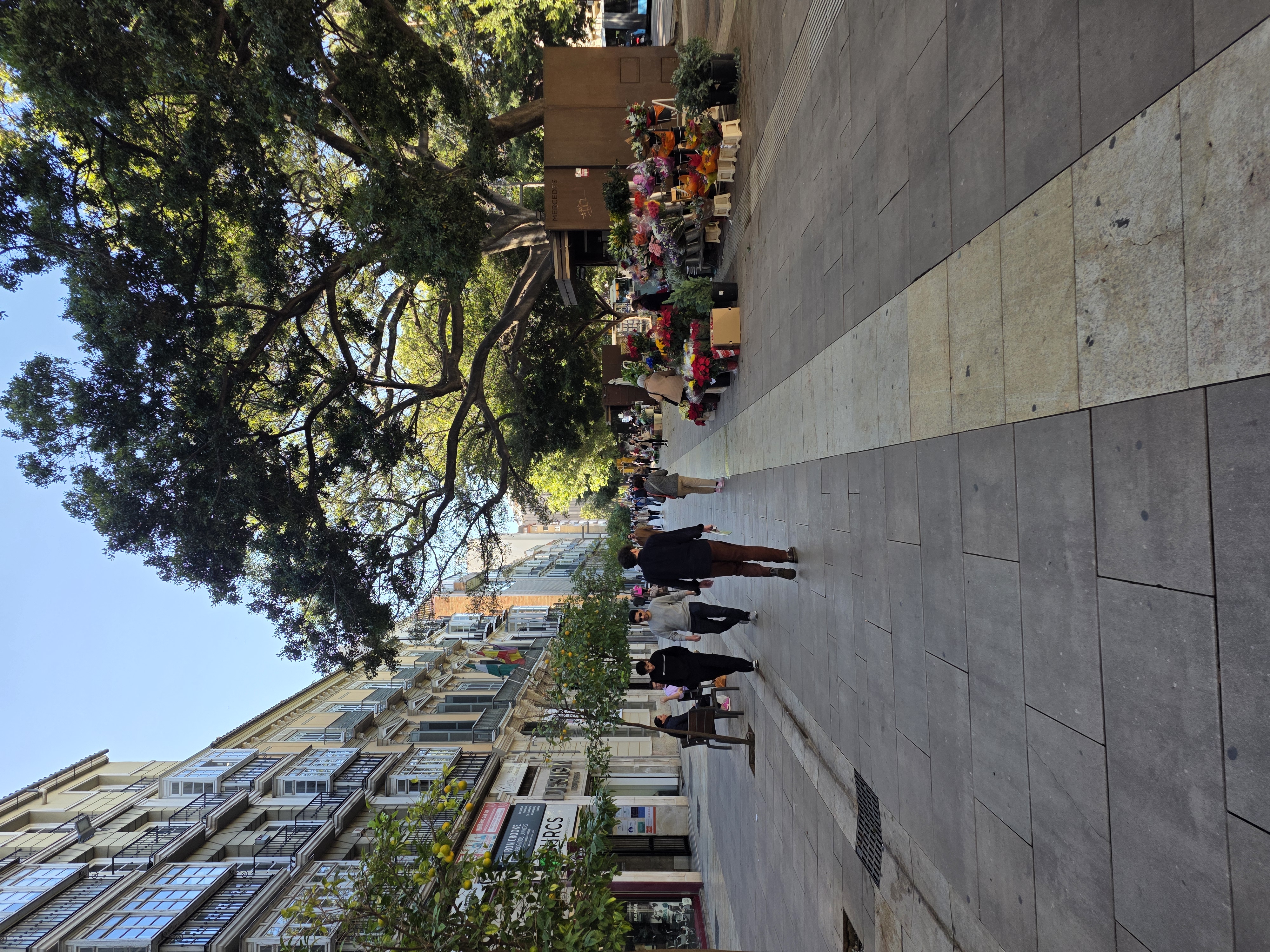 Pasted image 20251128161435 1.jpg