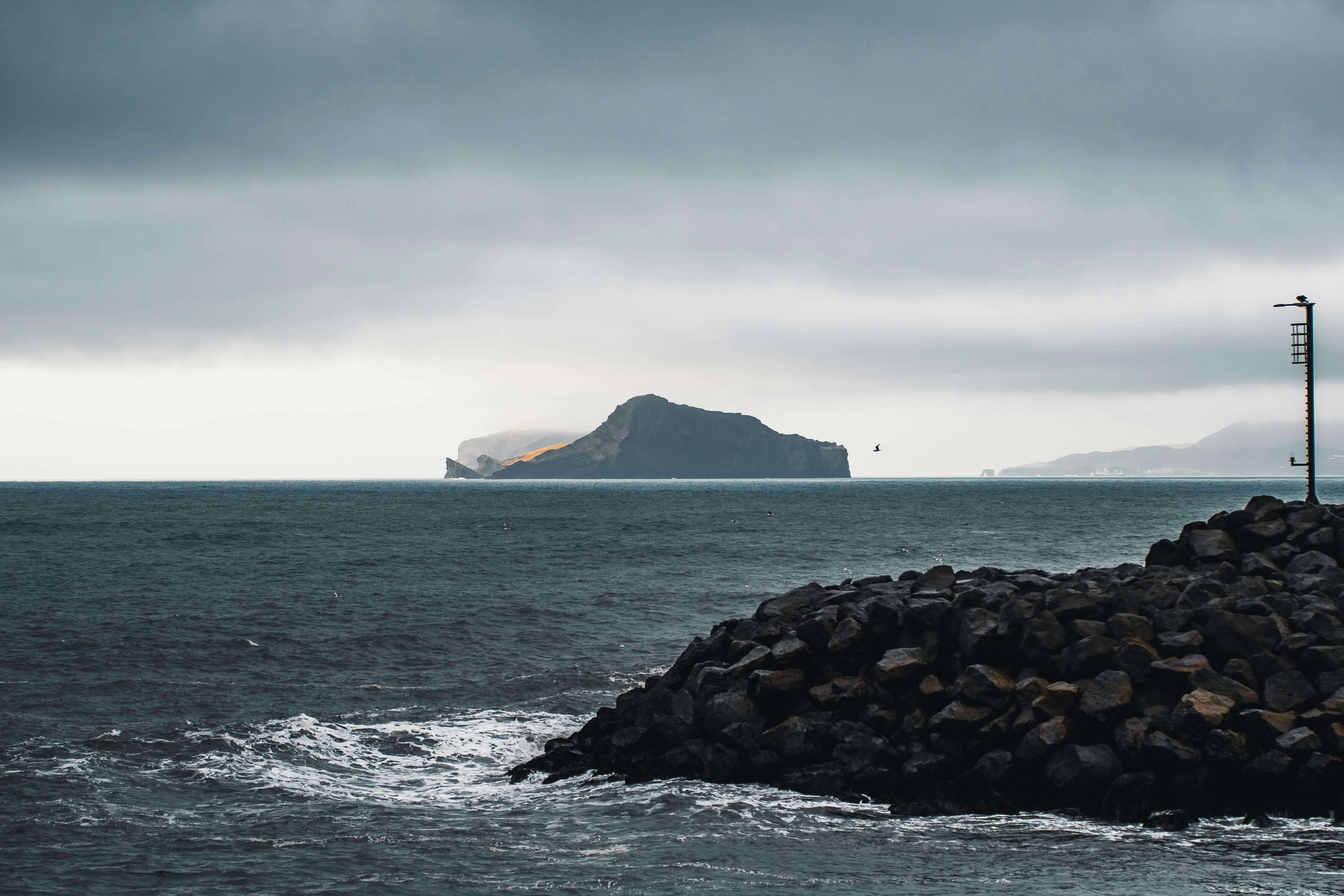 الآراء الشخصية في زمن التوحّش: على شواطئنا باقون..