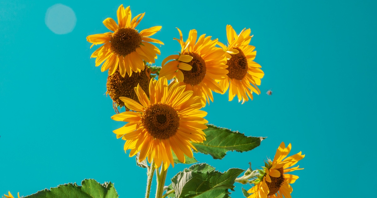 سنُنسى.. فالنسيان مصيرنا، والخلود للأعمال لا الأسماء